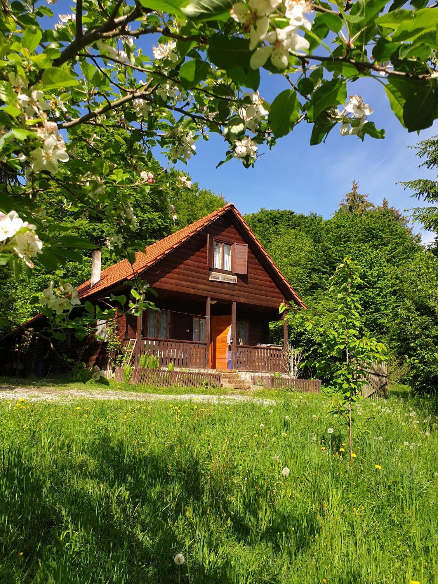 Casa Lacramioara Βίλα Sîmbăta de Sus Εξωτερικό φωτογραφία